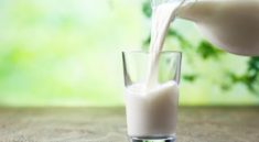 Çin'e süt ihracatı toplantısı